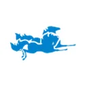 Sichuan Hexie Shuangma Co., Ltd.
