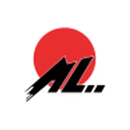 Shandong Molong Petroleum Machinery Co., Ltd. Class A