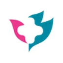 SSY Group Limited