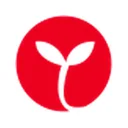 Yamami Company