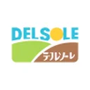 Delsole Corporation