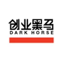 Dark Horse Technology Group Co., Ltd.