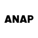 Anap Holdings Inc.