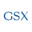Global Security Experts Inc.