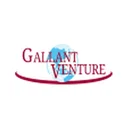 Gallant Venture Ltd.