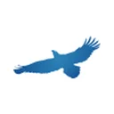 Shanying International Holdings Co.,Ltd
