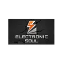 Hangzhou Electronic Soul Network Technology Co., Ltd.