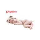 Pigeon Corporation