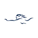 Arkadian Strategic Metals Plc
