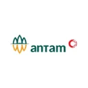 PT ANTAM (Persero) Tbk