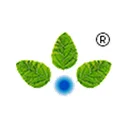Anupam Rasayan India Limited
