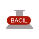 Bacil Pharma Limited
