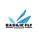Basilic Fly Studio Ltd.