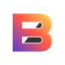 Bhatia Colour Chem Limited