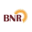 BNR Udyog Limited