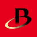 Bradespar S.A.