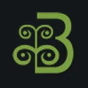 Brijlaxmi Leasing & Finance Limited