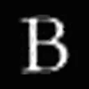 BSL Limited