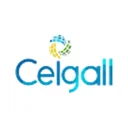 Ceigall India Ltd.