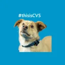 CVSG.L