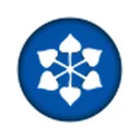 DCM Shriram Industries Limited