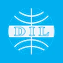 Dynamic Industries Limited