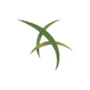 Earthworks Industries Inc.