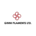 Ginni Filaments Limited