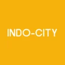 Indo-City Infotech Limited