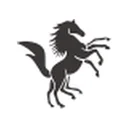 Lloyds Luxuries Ltd.