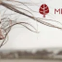 MedCap AB (publ)