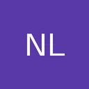 Northern Lion Gold Corp.