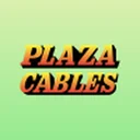 Plaza Wires Limited