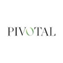 Pivotal Metals Limited