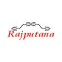 Rajputana Investment and Finan