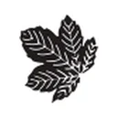 Seasons Textiles Limited