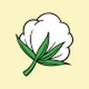 Sri Nachammai Cotton Mills Limited