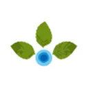 Tanfac Industries Limited