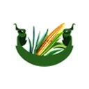Tirupati Starch and Chemicals Limited