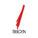 Trigyn Technologies Limited