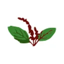 Tulasee Bio-Ethanol Limited