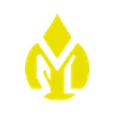Vijay Solvex Limited